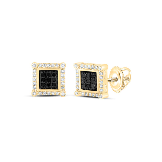 10kt Yellow Gold Mens Round Black Color Enhanced Diamond Square Earrings 1/4 Cttw